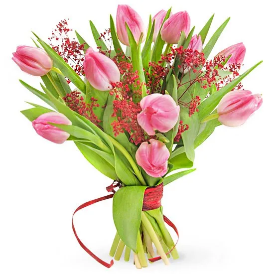 bukiet 11 tulipanów, 11 różowych tulipanów, czerwona gipsówka, owinięty czerwoną wstążką
