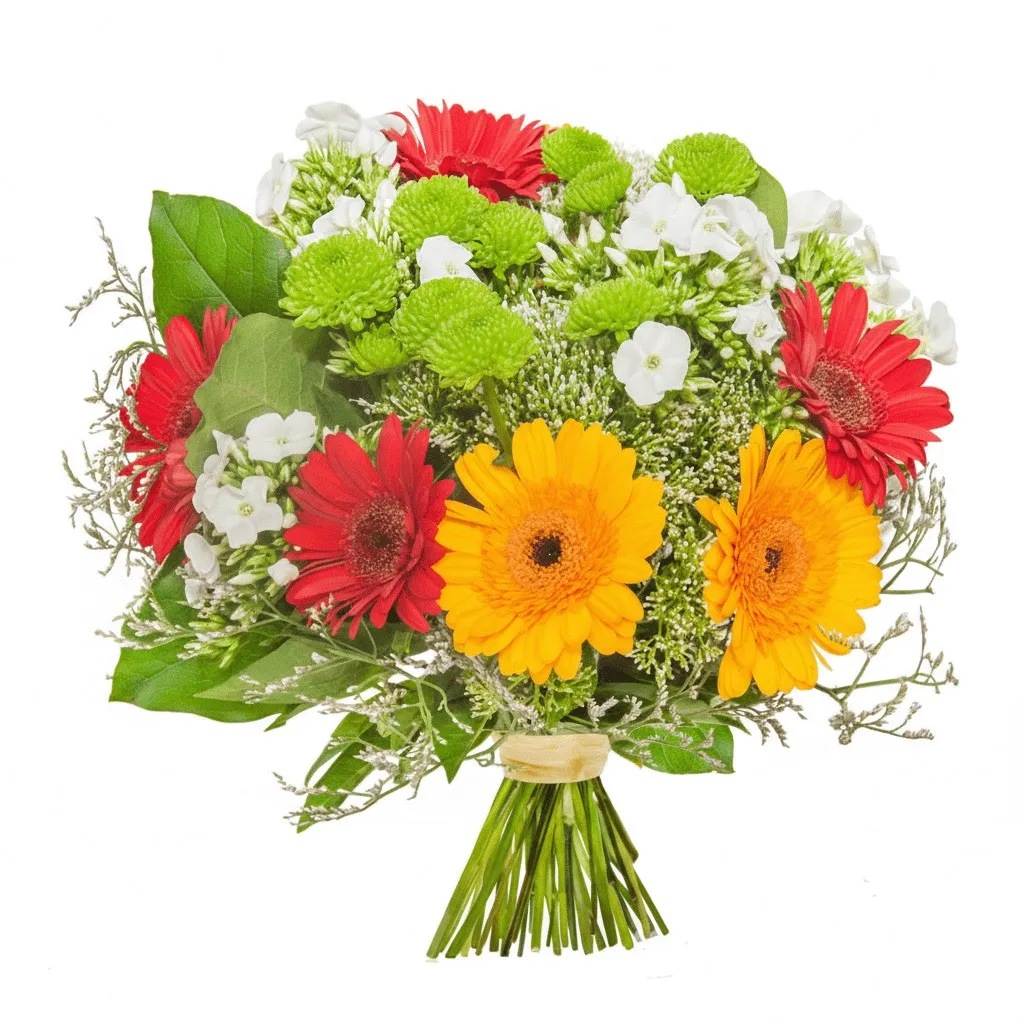Apollonia bouquet, a bouquet of gerberas and santini, yellow and red gerberas in the bouquet