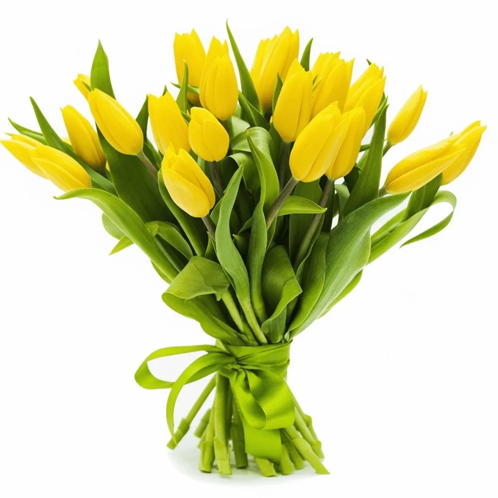 Bouquet - yellow tulips