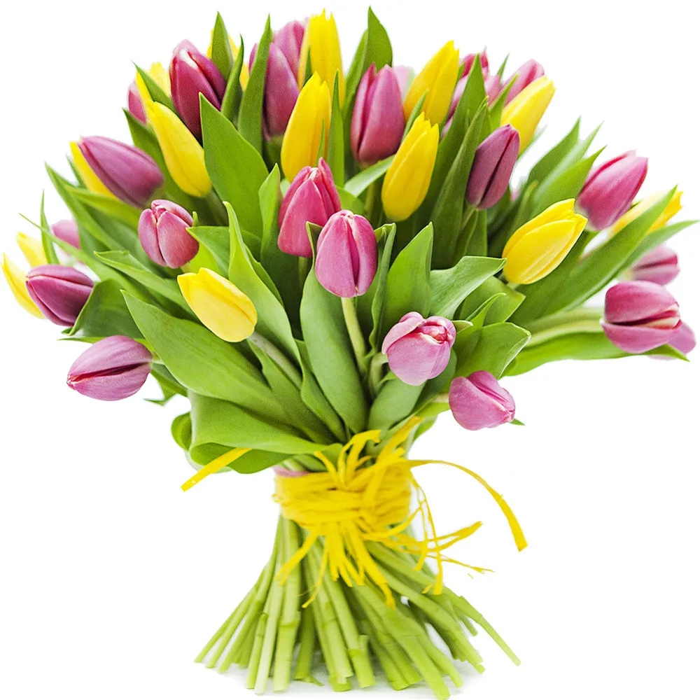 Calineczka’s Bouquet, Yellow and Pink Tulips in a Bouquet