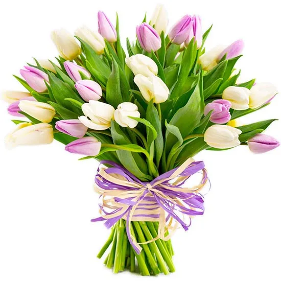 Tulipany na Dzień Kobiet, różowe i białe tulipany w bukiecie