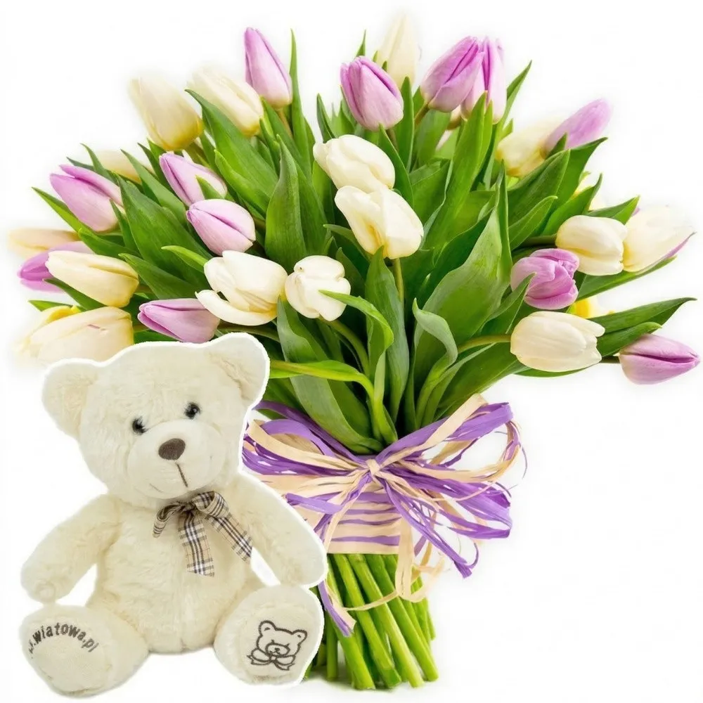 Tulips for Women's Day, pink and white tulips in a bouquet