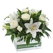 Białe kwiaty w pudełku