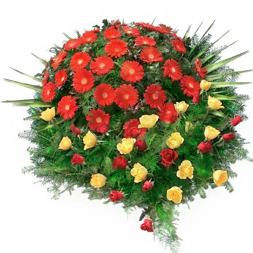 Wieniec z czerwonych gerber, żółtych i czerwony róż i zielonej jodły, Wieniec pogrzebowy, wieniec na pogrzeb