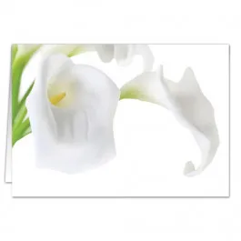 Calla