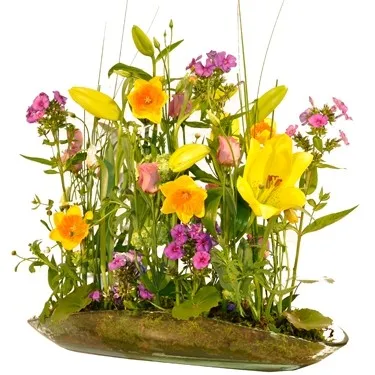 Primavera