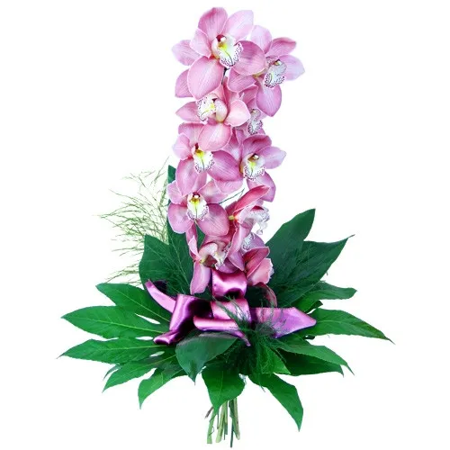 Orchid - finesse and elegance, purple orchid with facies and treefern features