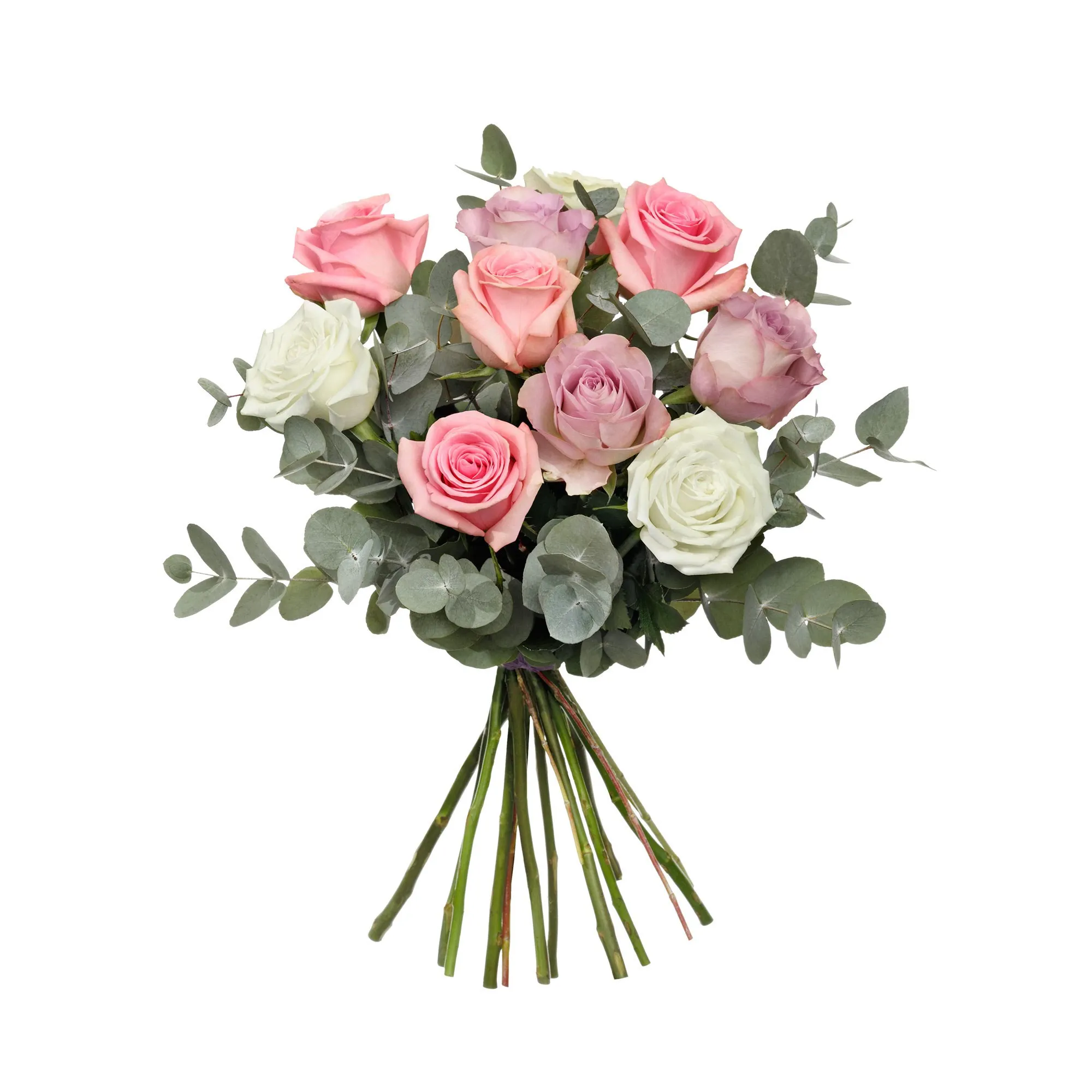Pastel Roses - Sweden