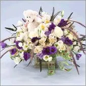 Newborn baby arrangement with teddy bear - Israel