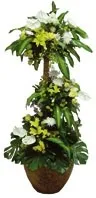 Royal Plant Arrangement with Flowers