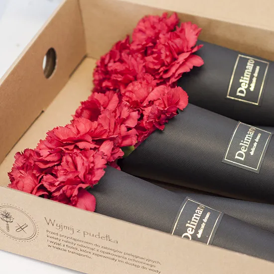 Czerwone goździki w czarnym rożku, czerwone goździki w kartonie