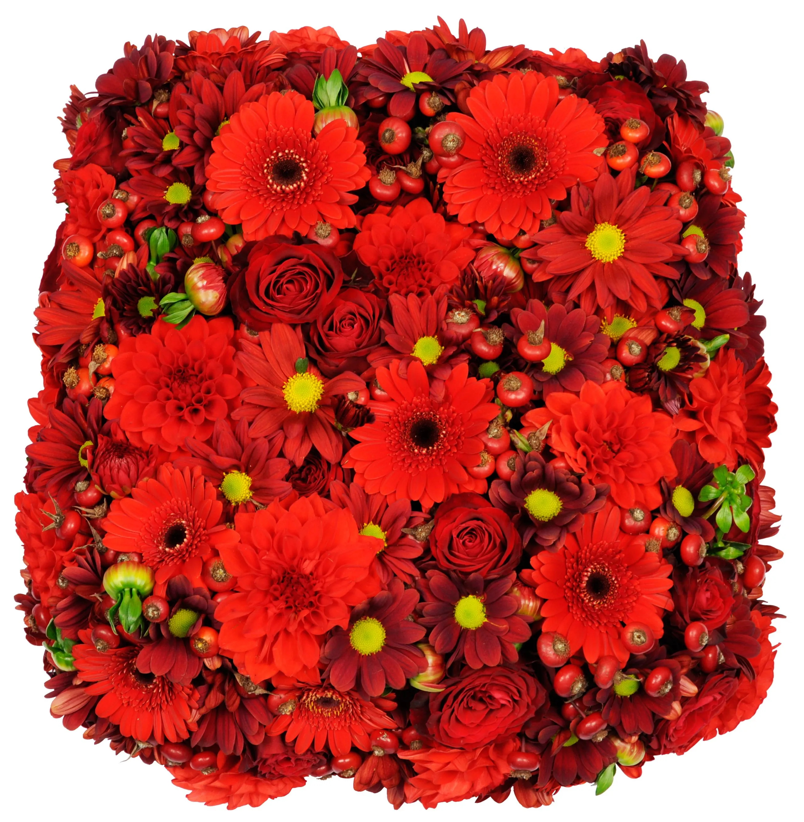 Floral pillow ACF for funeral in ONLY red (roses/gerberas/daises etc..) - Syria