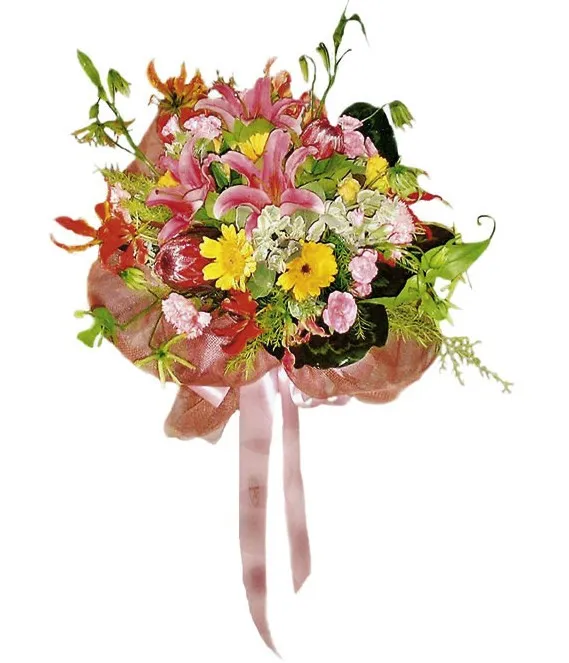  Rozkwitająca Miłość