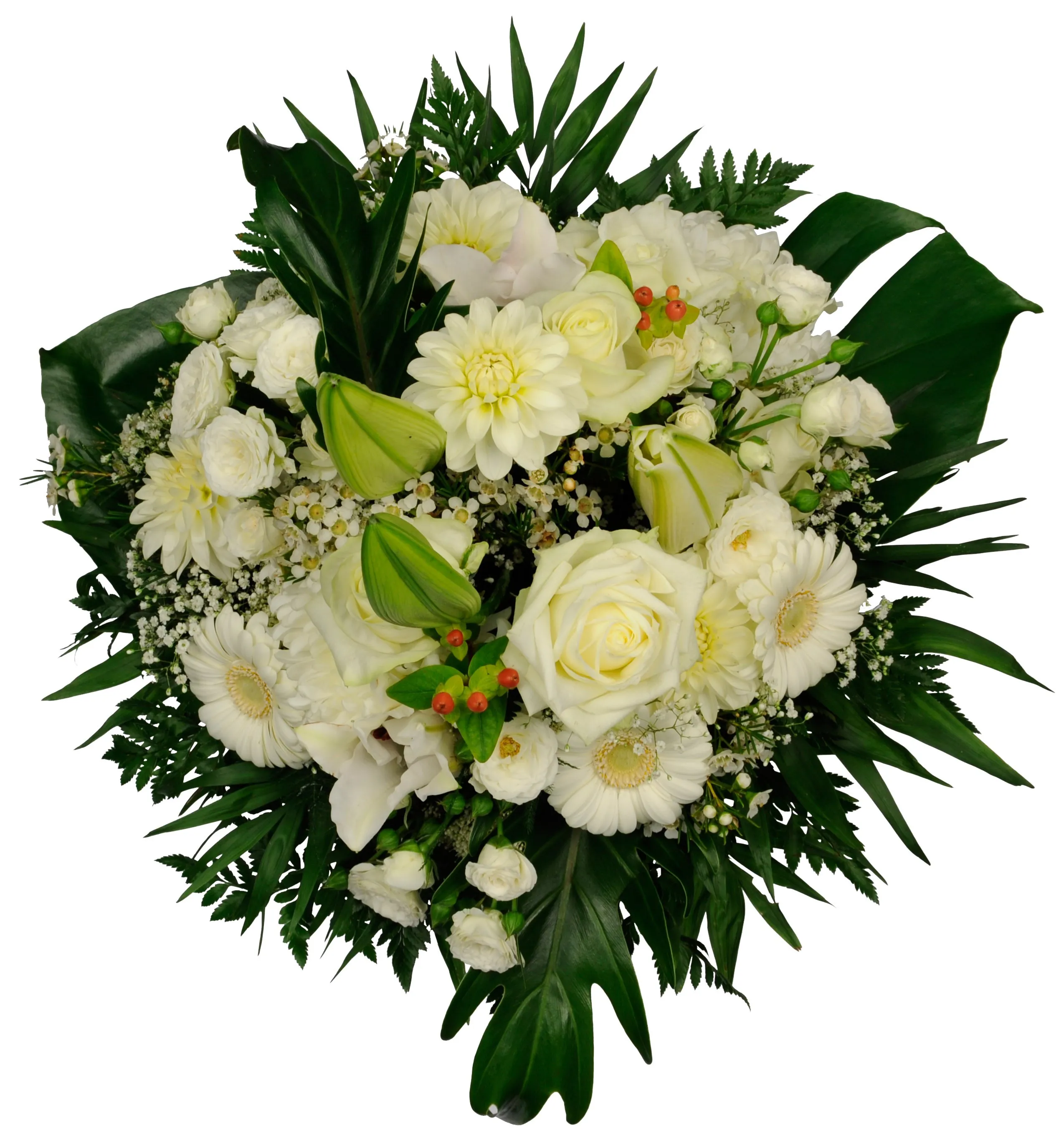 Wedding MCF - only WHITE flowers (lilies, roses, gerberas etc). - Syria