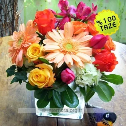 Arrangement of Cut Flowers