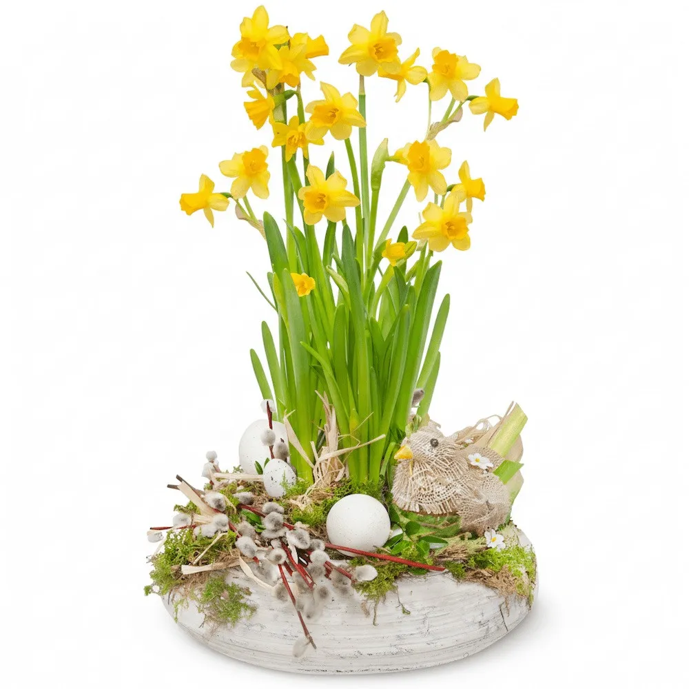 Easter centrepiece daffodils, daffodils in a pot decorated with chicken, bases, eggs, moss, reef, boxwood, Easter centrepiece 