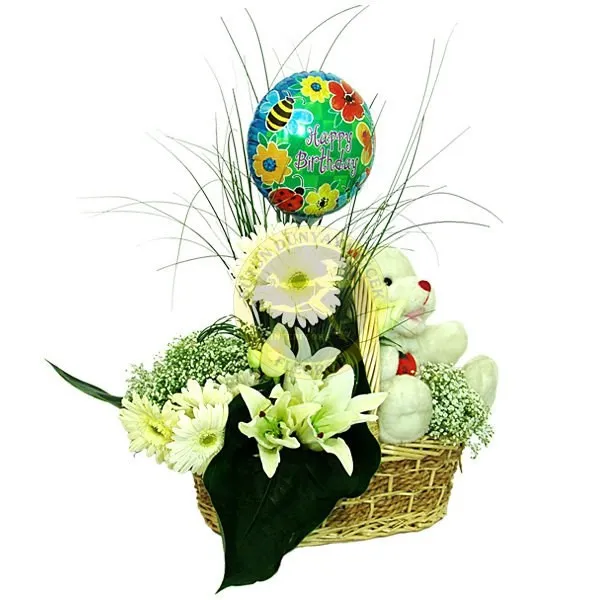 Arrangement for New Born Baby - Turkey