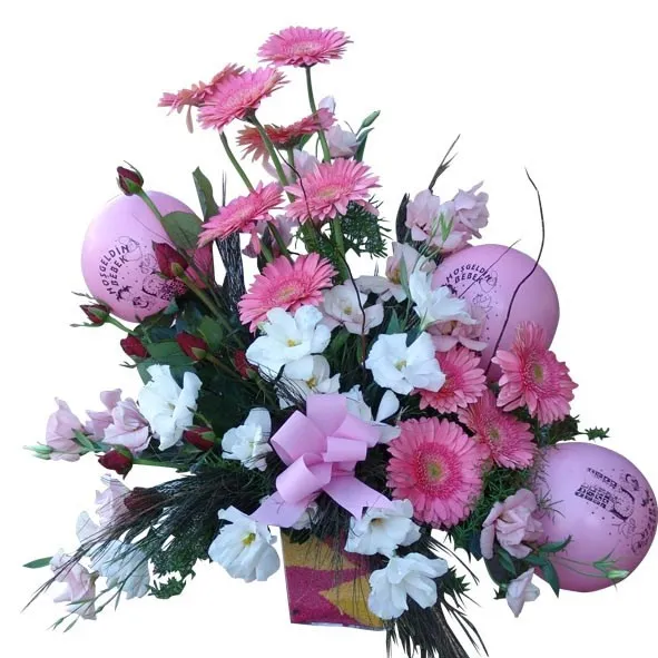 Arrangement for New Born Baby - Azerbaijan