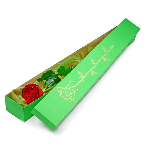 Elegancka róża w pudełku, czerwona róża w zielonym pudełku, pojedyncza róża z dostawą