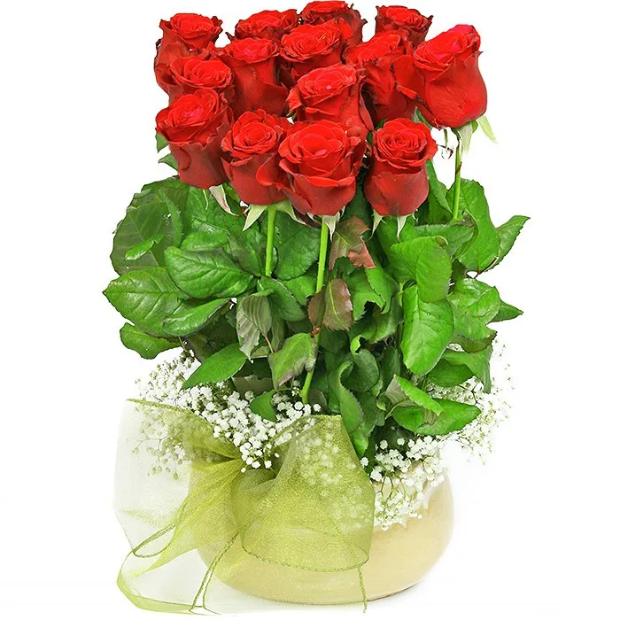 kwiaty miłosna magia, 15 czerwonych róż, gipsówka, kompozycja w beżowym naczyniu