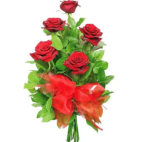 Red roses with ribbon on delivery, flowers for beloved, flowers for lovers