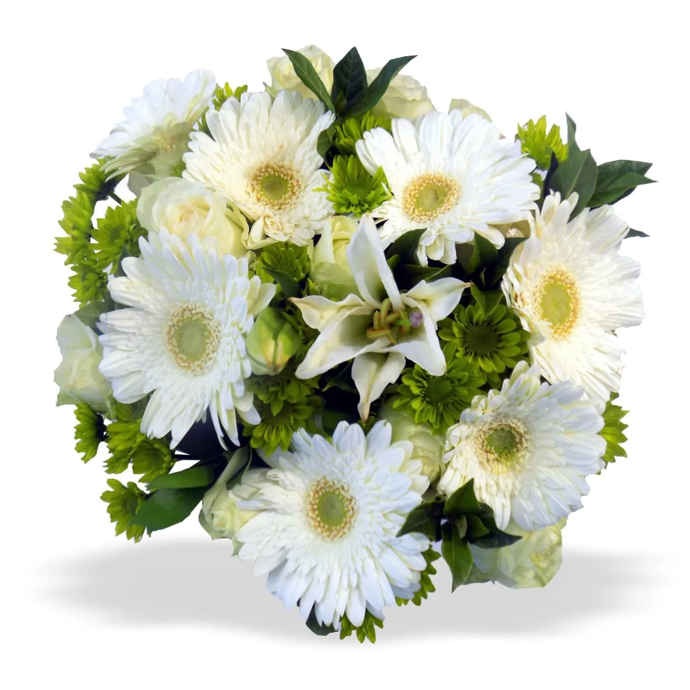 White Bunch LRG - Lesotho