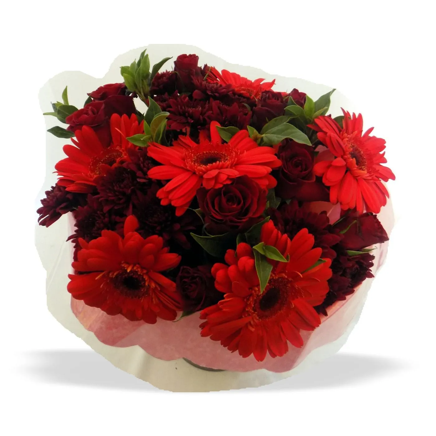 Red Bunch MED - Lesotho