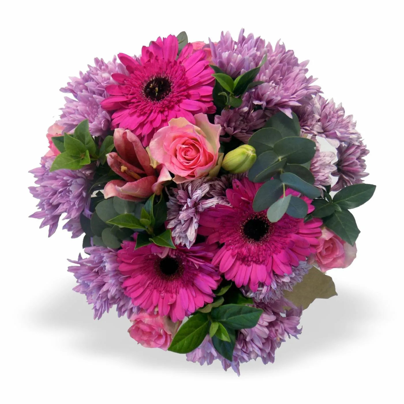 Pink Bunch MED - Lesotho