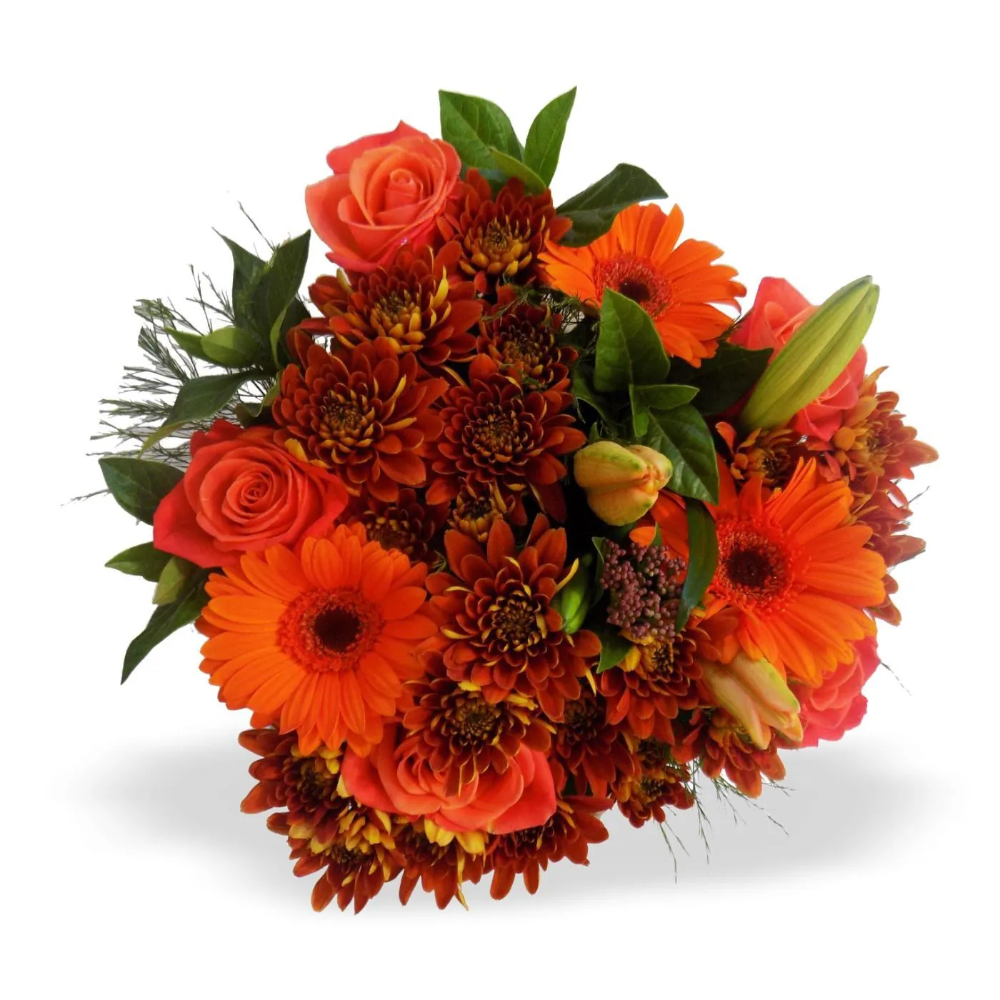 Orange Bunch MED - Lesotho