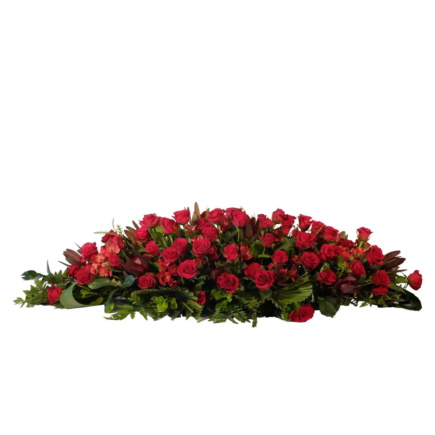 Red Coffin Spray - Lesotho