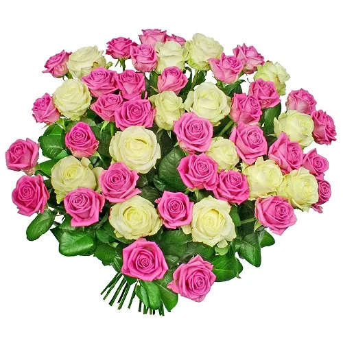 Kwiaty Przepraszam, bukiet biało-różowych róż, 50 białych i różowych róż