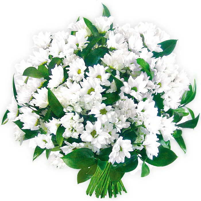 Kwiaty Kondolencyjne, kompozycja białych margaretek, kwiaty na pogrzeb