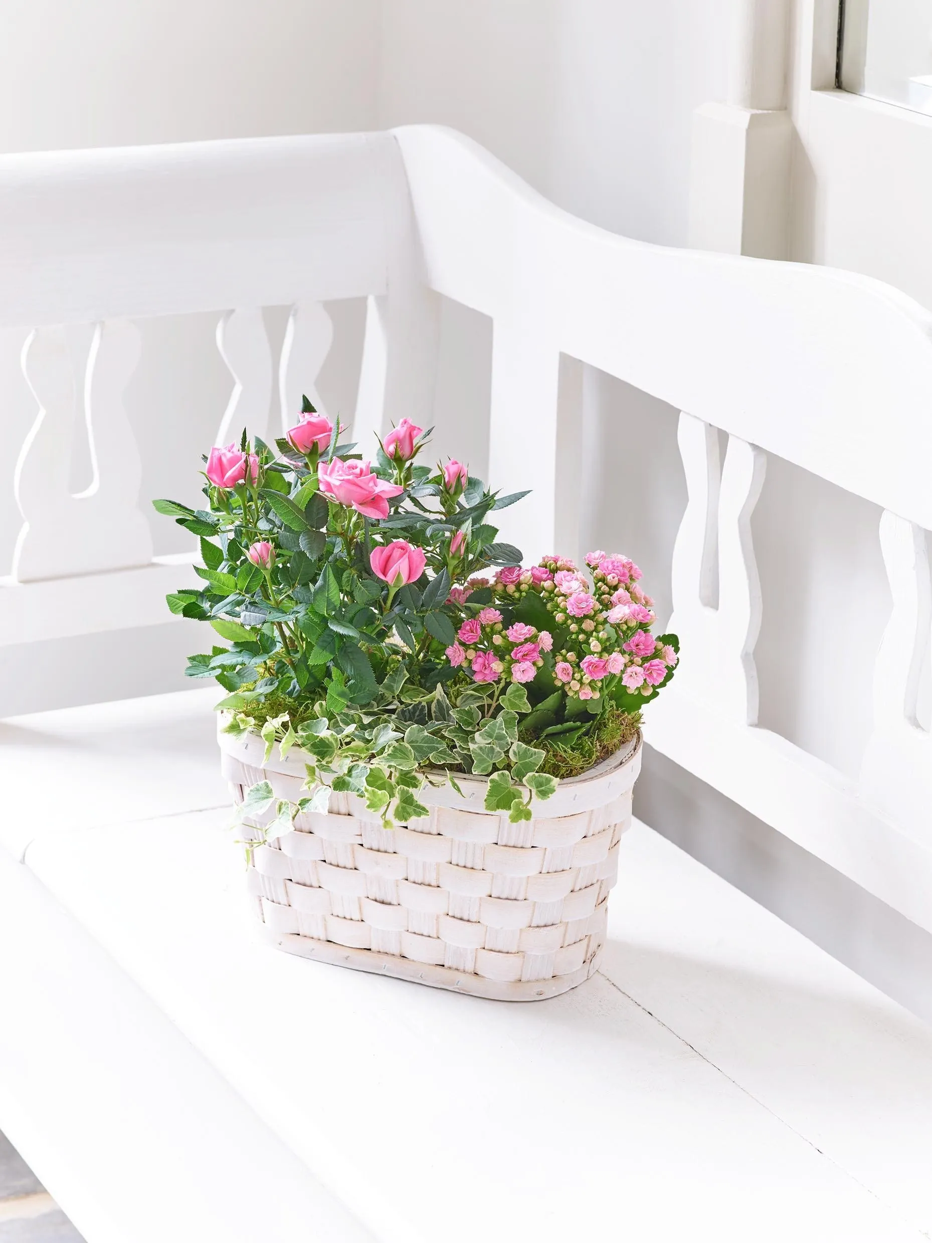 Koszyk różowych róż i kalanchoe