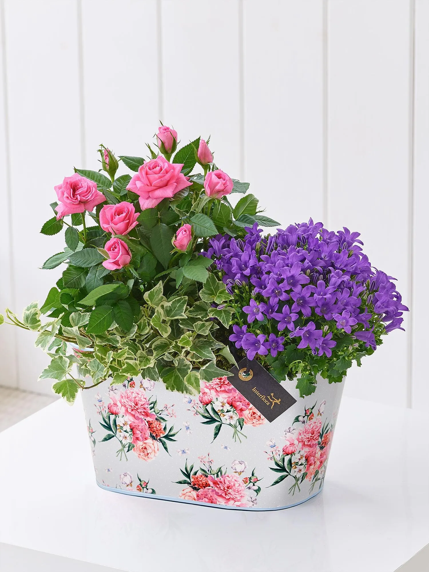 SUMMER PLANTED TIN
