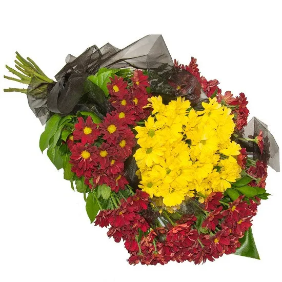 Wiązanka Brzask, wiązanka z margaretek żółtych, margaretek czerwonych, organzy, zieleni dekoracyjnej, wiązanka na pogrzeb
