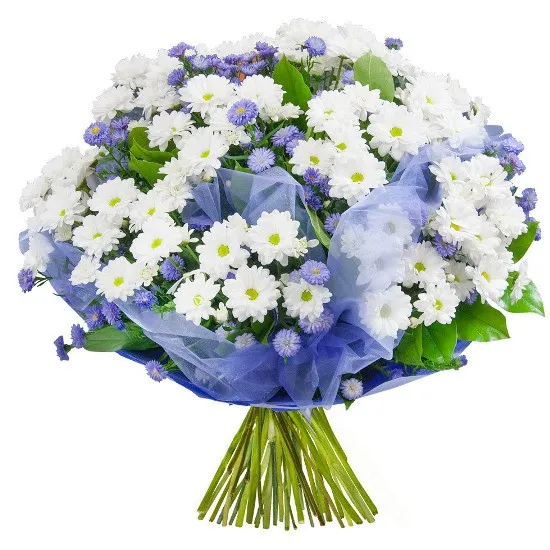 Asters, white margaretes, organza, paper, decorative green in bouquet, spring bouquet, condolence bouquet