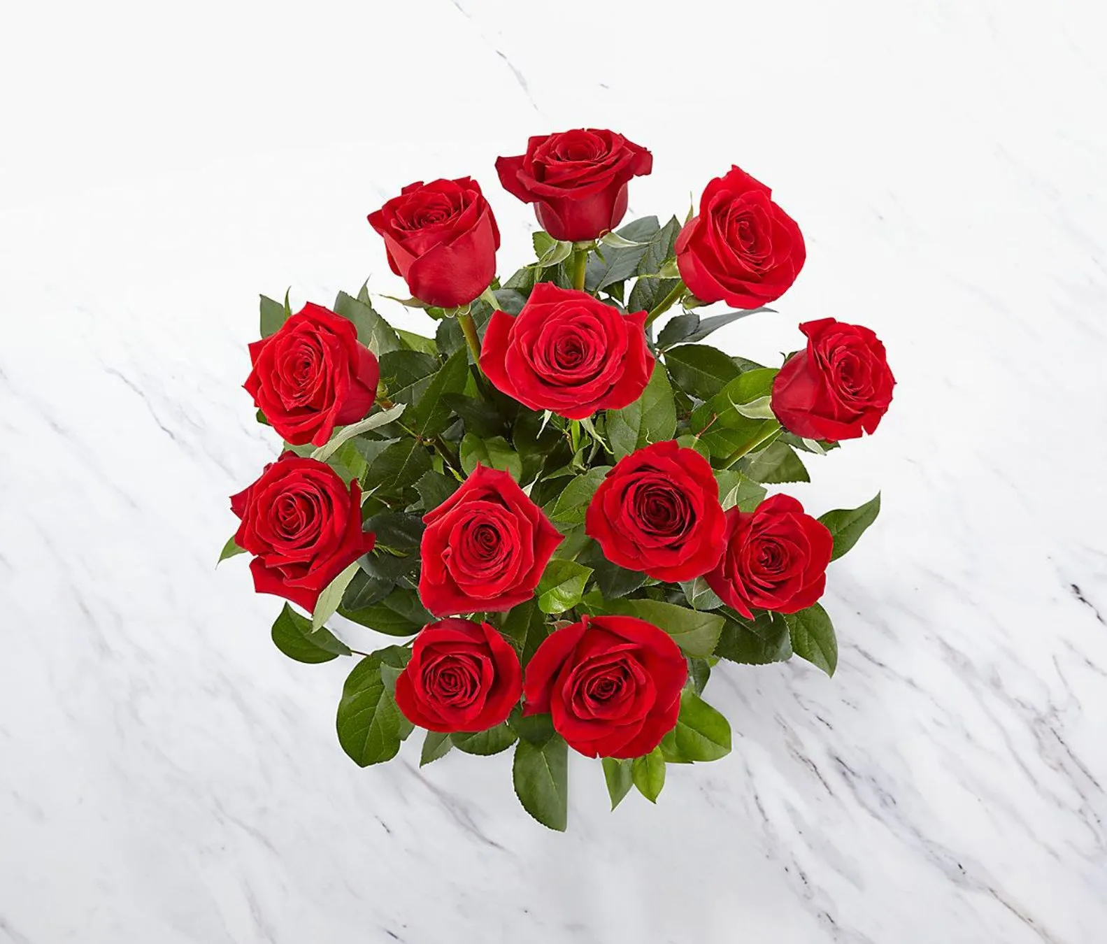 12 short stemmed roses - Dominican Republic