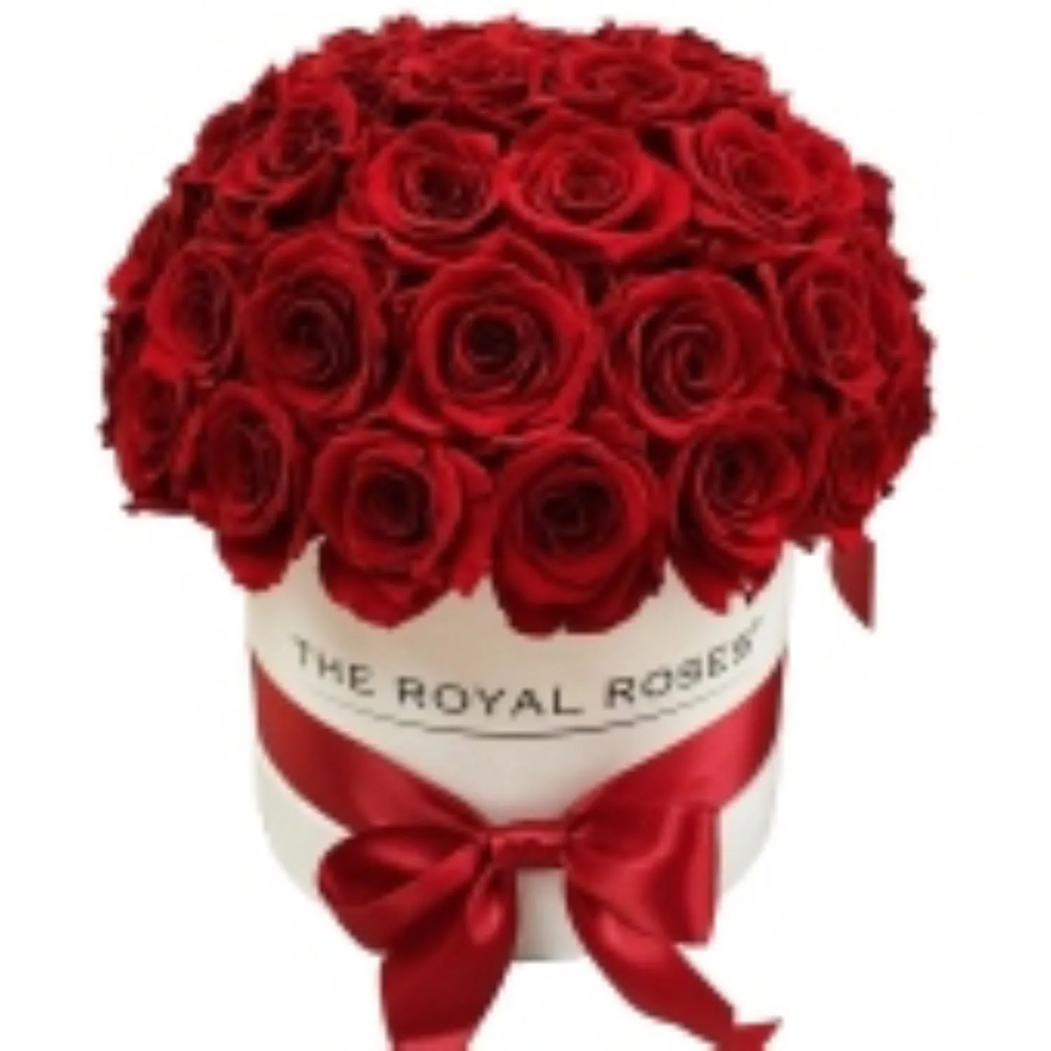 Box with 41 Red Roses - North Macedonia