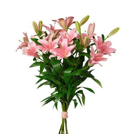 Bouquet Pink lilies - Sweden