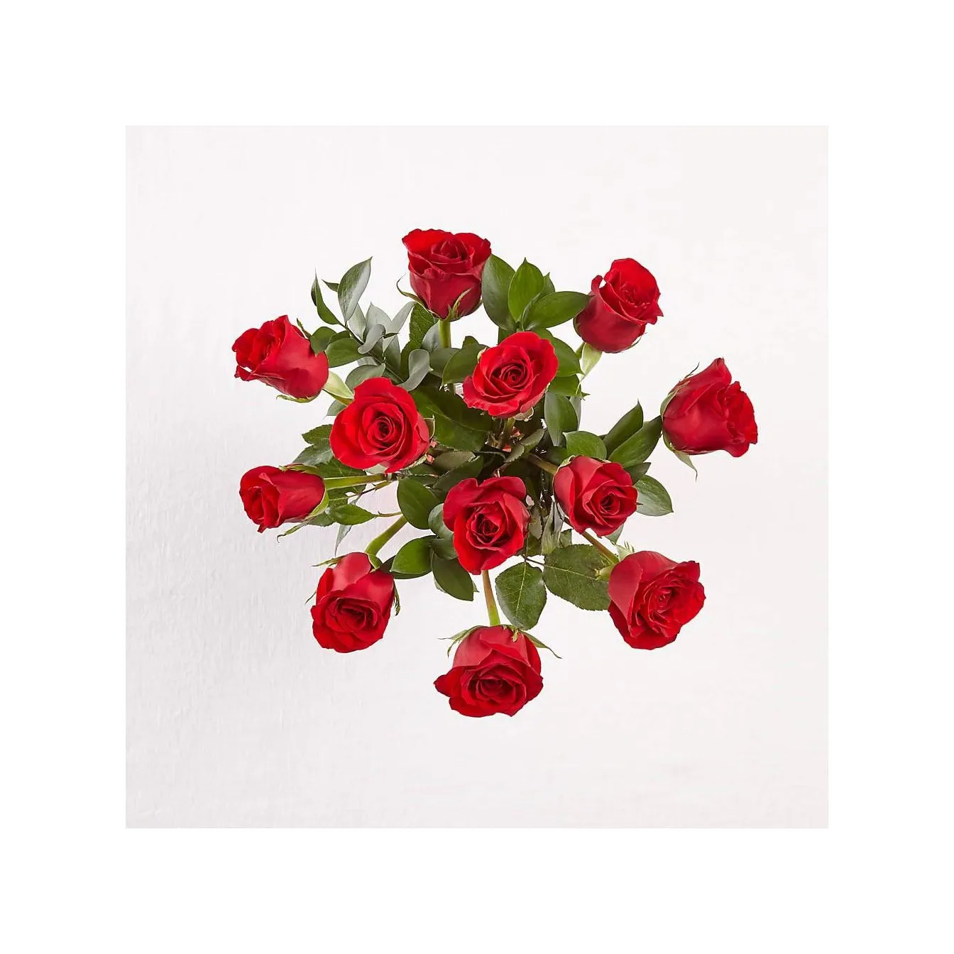 12 Roses Short Stemmed - Philippines