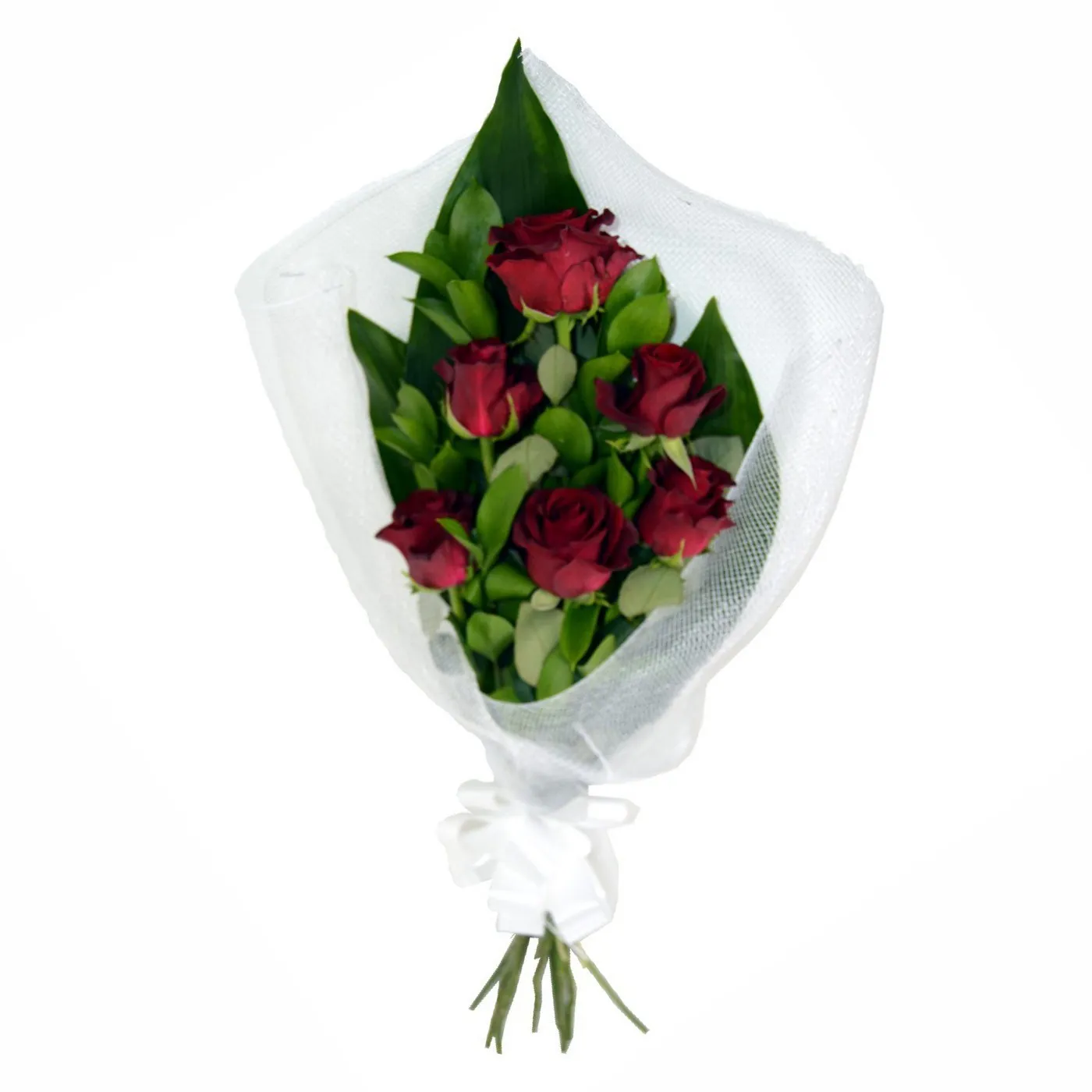 6 Red Roses in Wrap - Botswana