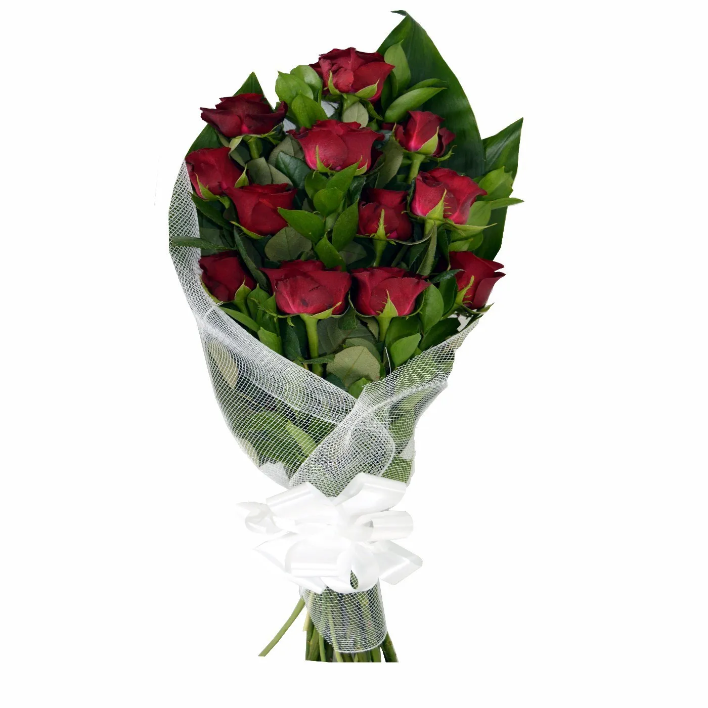 12 Red Roses - Botswana