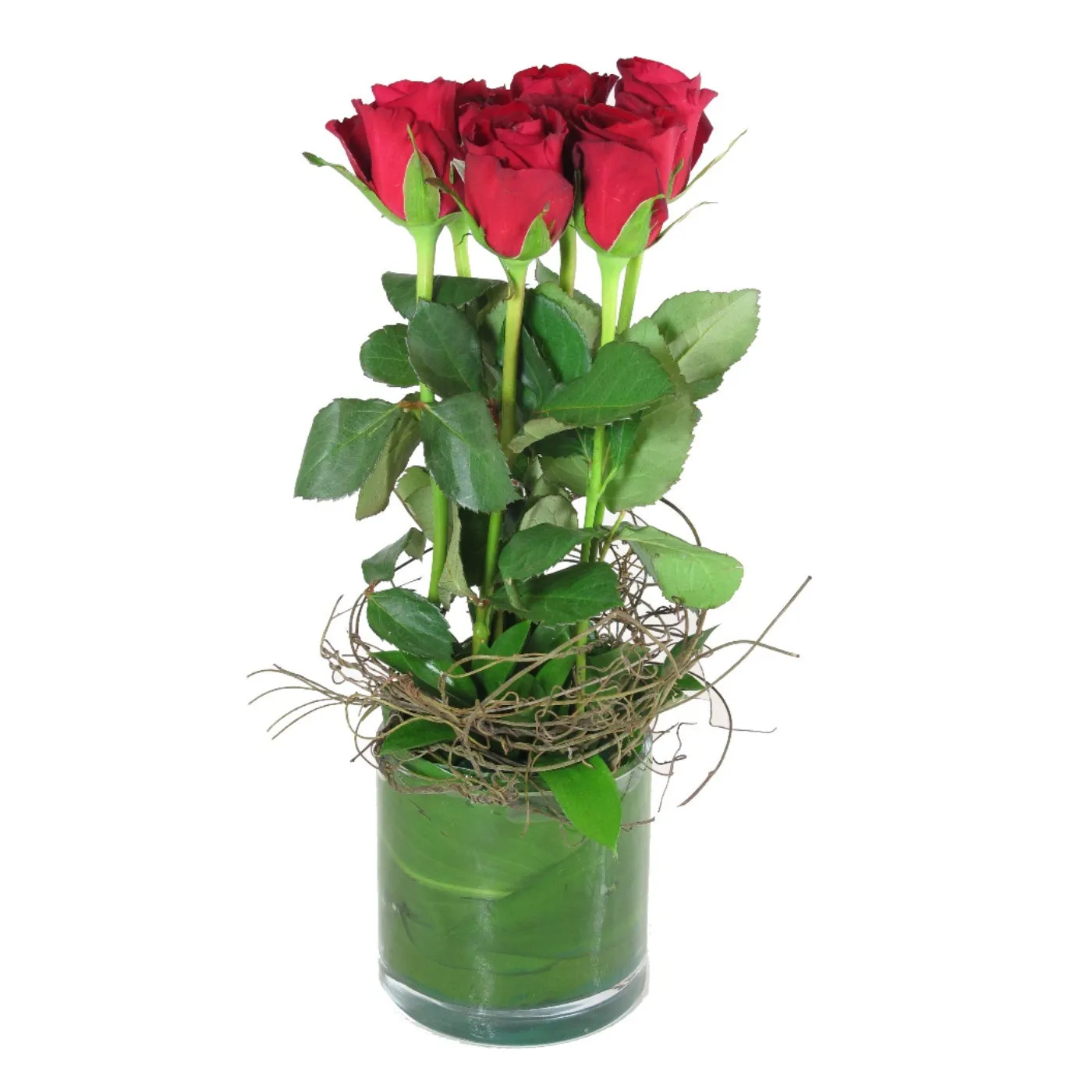 6 Red Roses in Vase - Botswana