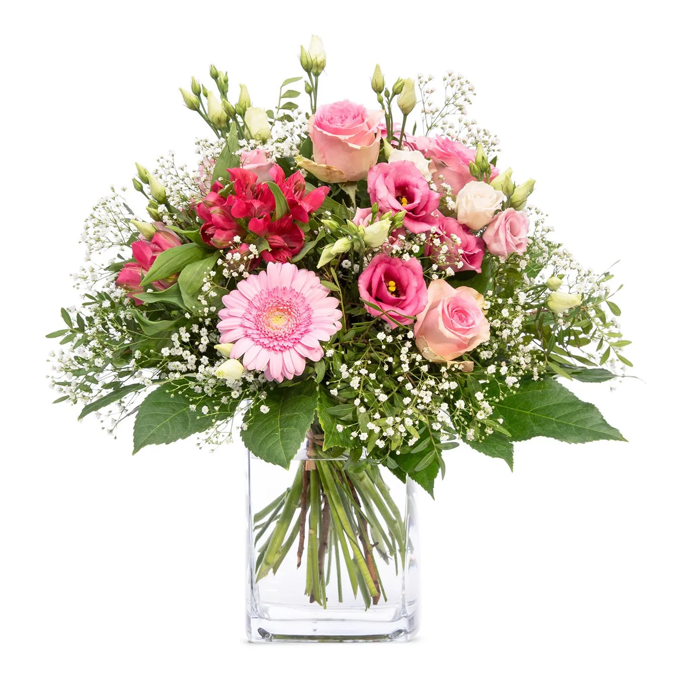 Tender and charm - Czechia