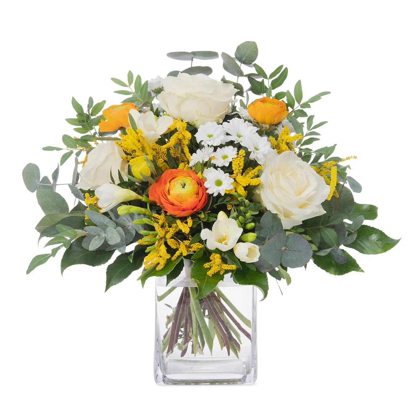 First spring rays - Czechia