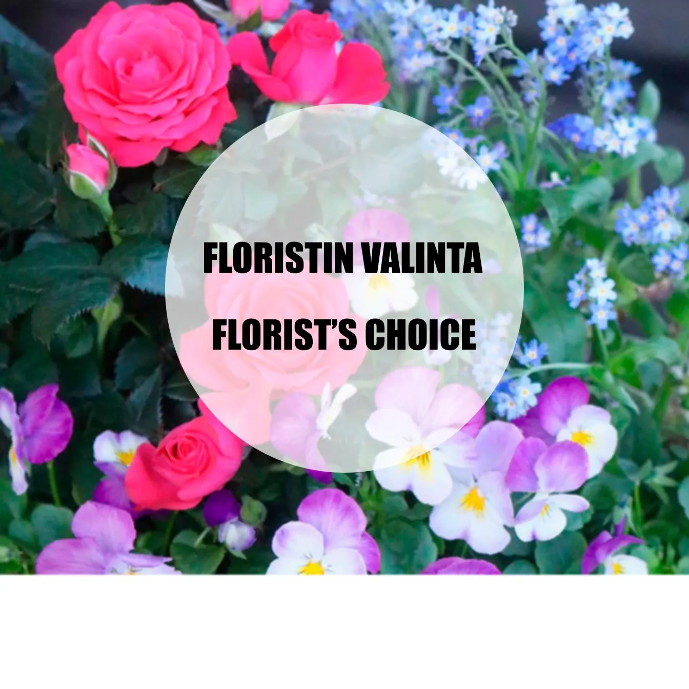 Florist's choice Mother's Day planting - Finlandia