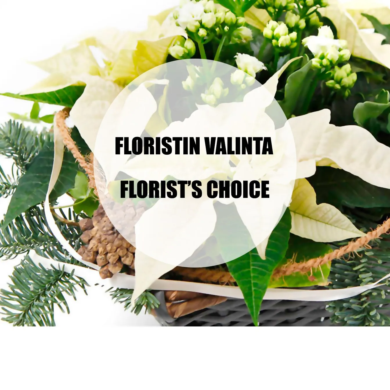 White Christmas planting, florist's choice - Finland