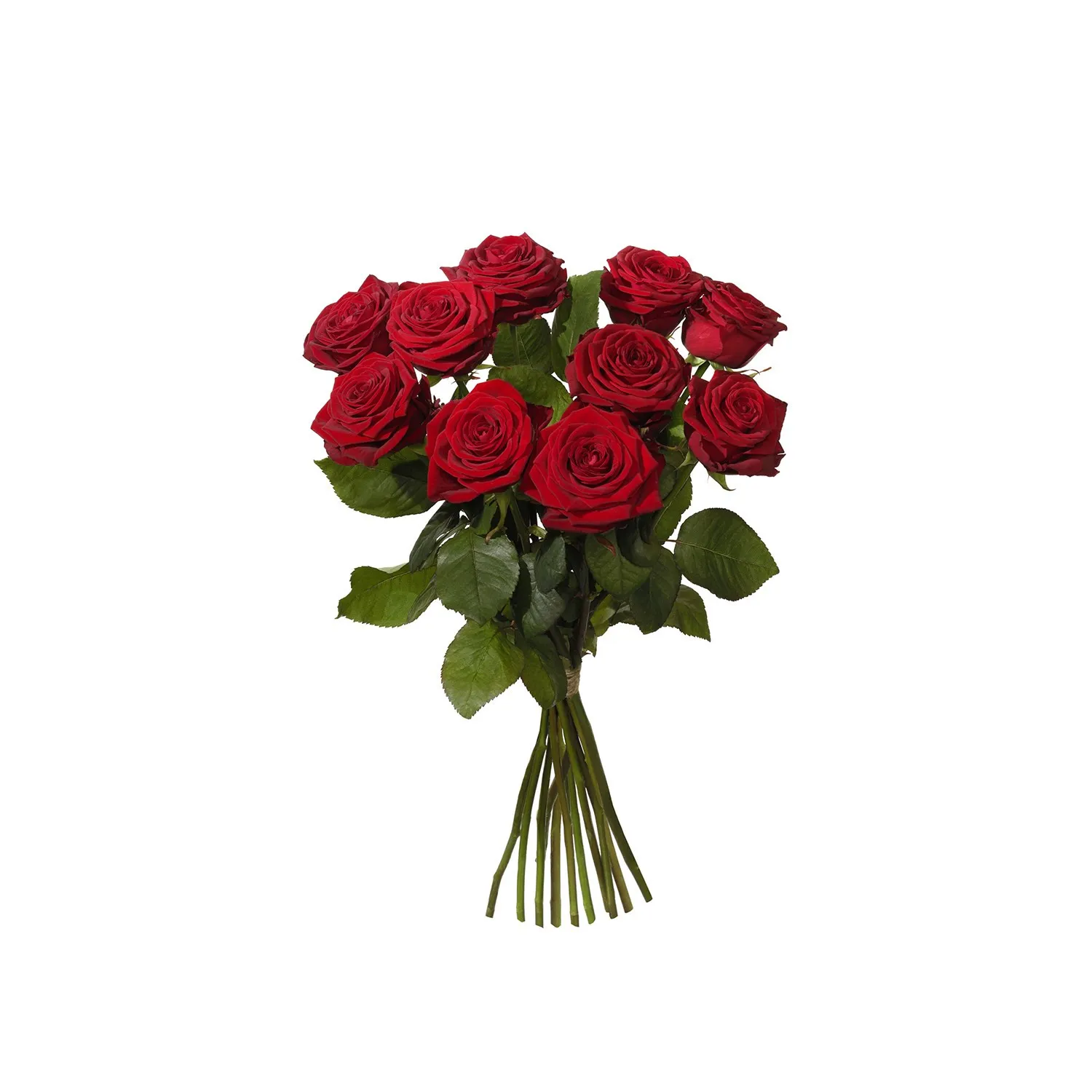 Bouquet with 10 red roses - Sweden