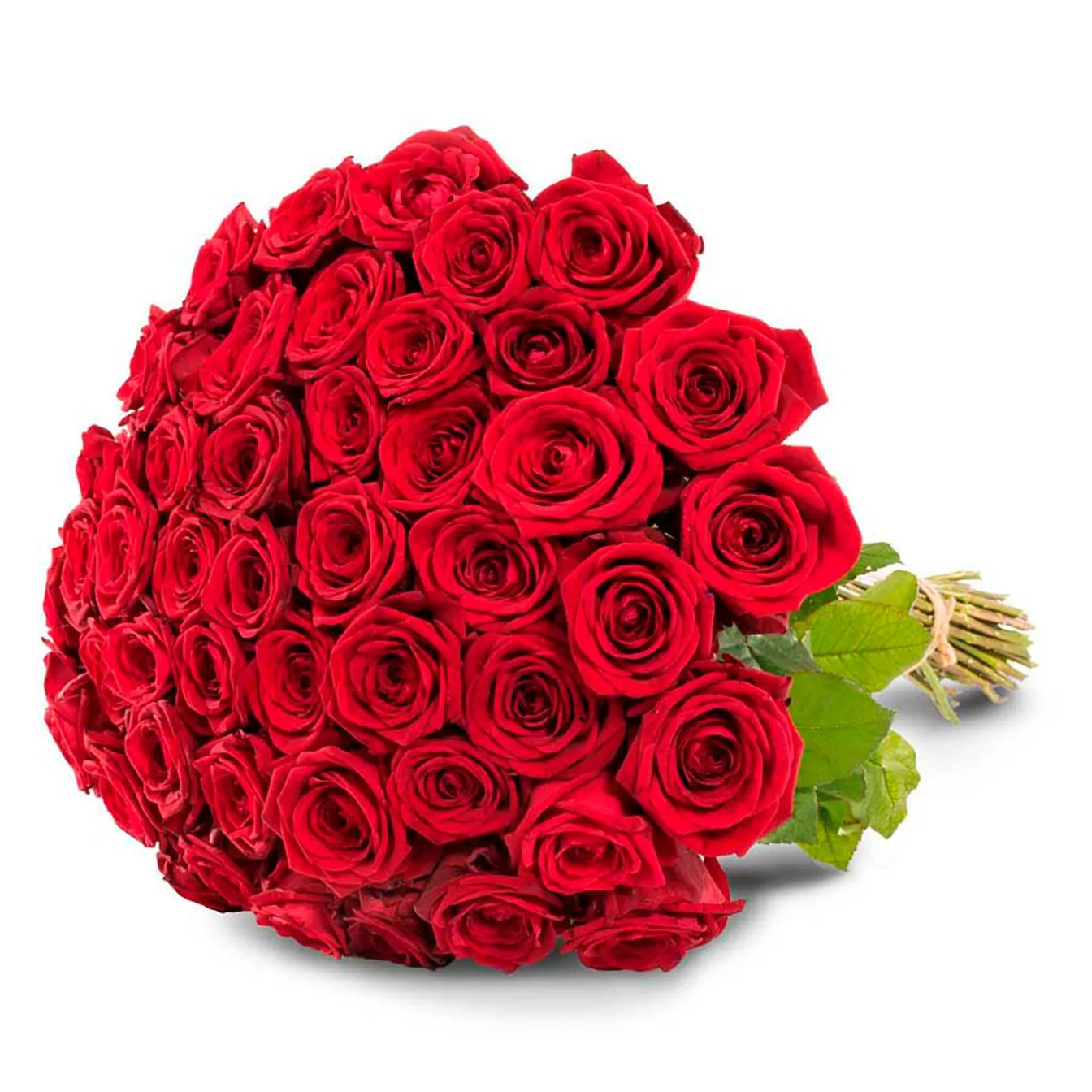 50 red roses - Finland