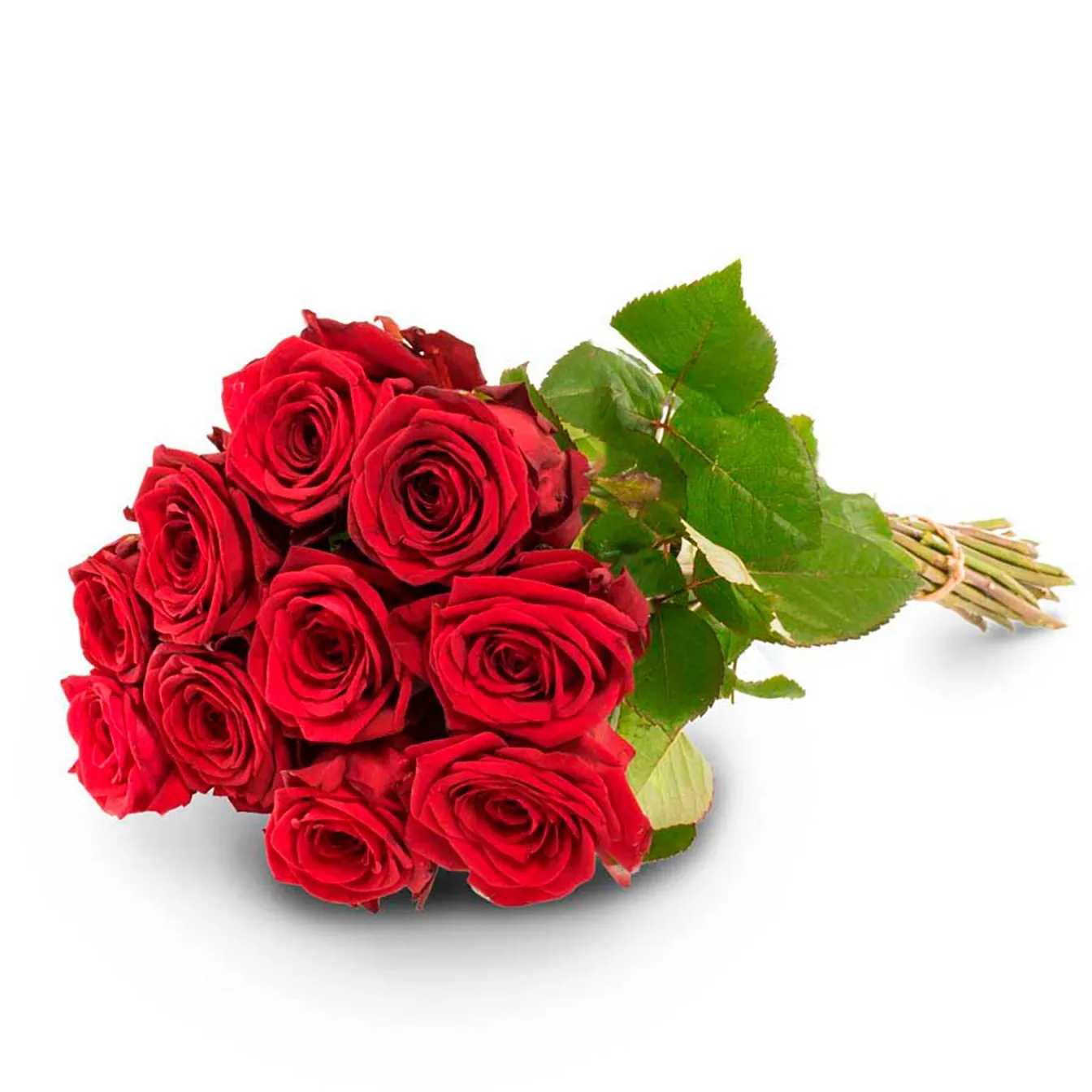 10 red roses - Finland